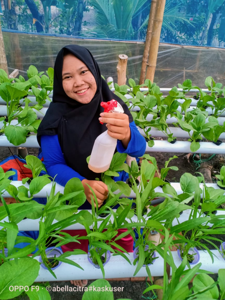 Pelapor Petani Hidroponik Manis & Cantik 