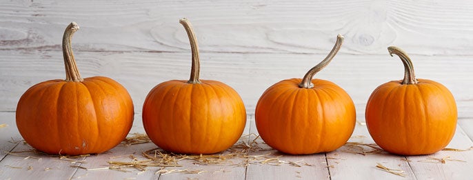 uc-davis-pumpkins.jpg