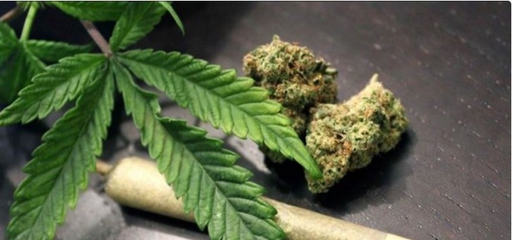 THAILAND LEGALKAN GANJA