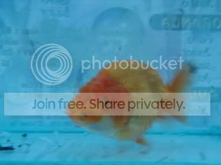 P5280023_resize_resize.jpg