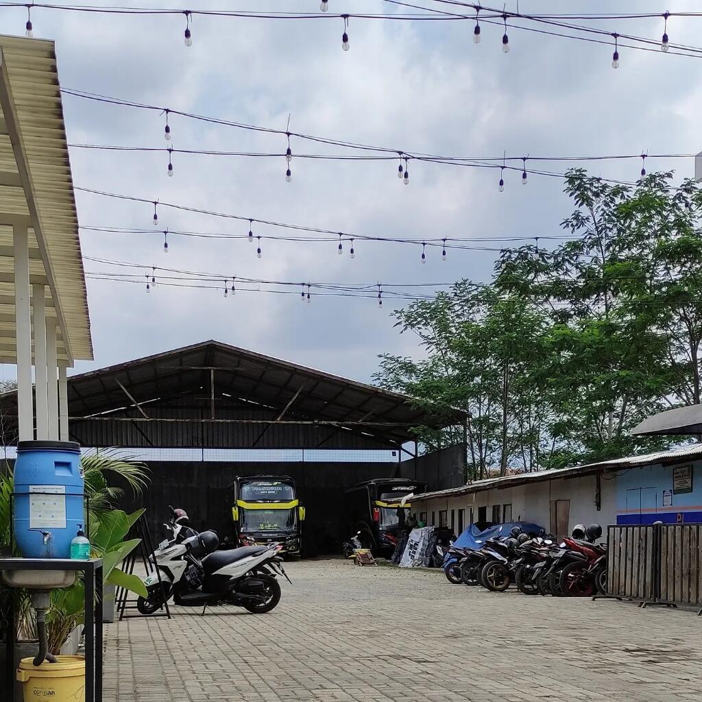 Mencoba Menjadi Teman di Dahan Kopi