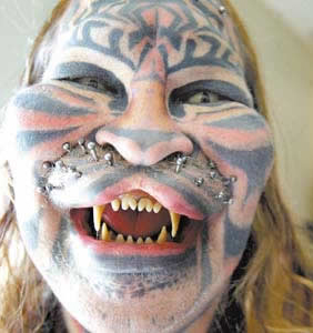 catman-2.jpg