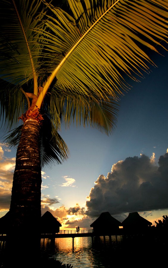 bora-bora-photos09.jpg