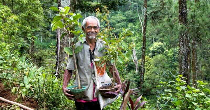 Mbah Sadiman, Sosok Pahlawan Penanam Pohon Di Desa Geneng!