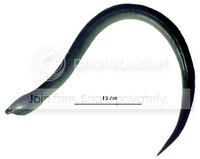 belut.png
