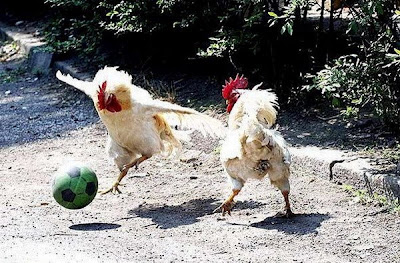 8.pemain+bola.jpg