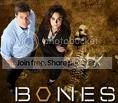bones.jpg