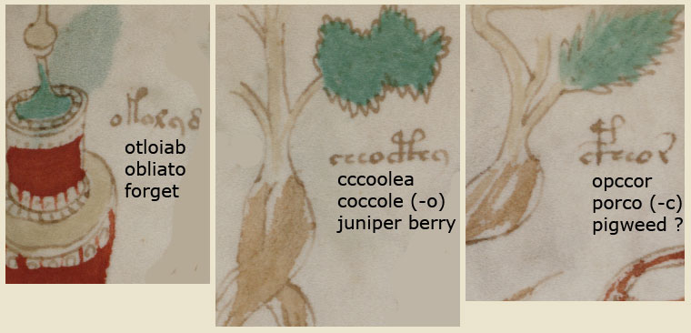 folio_88v_1.jpg