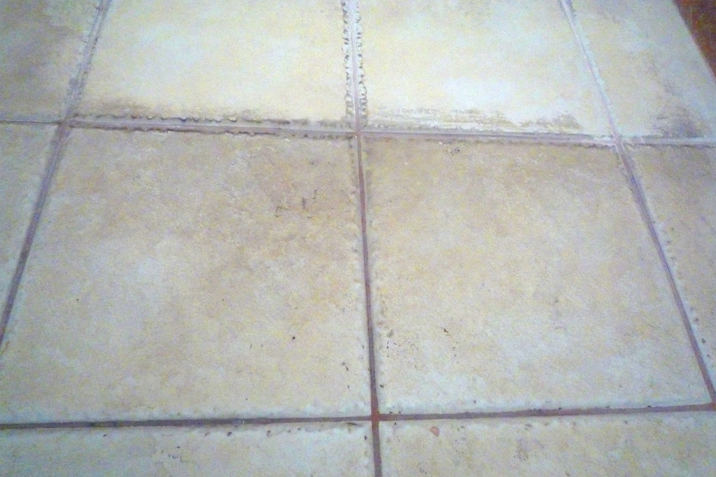 3670814826_7ede649aec_b.jpg