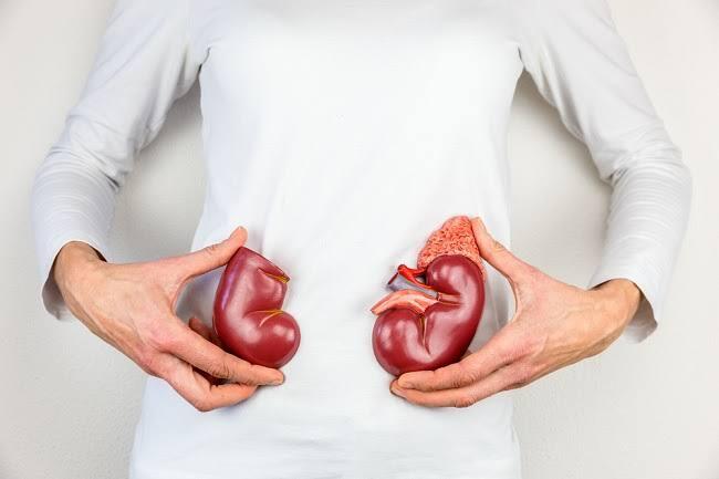 7 Harga Organ Tubuh Manusia Termahal 