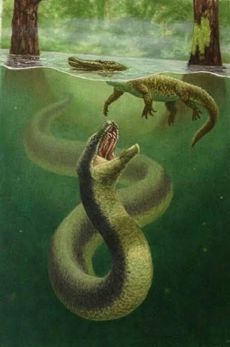 Kenapa Ular Titanoboa Punah ?