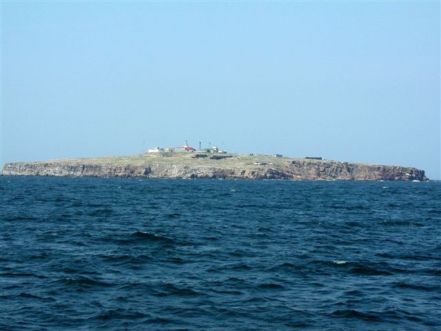 cyn1e.jpg