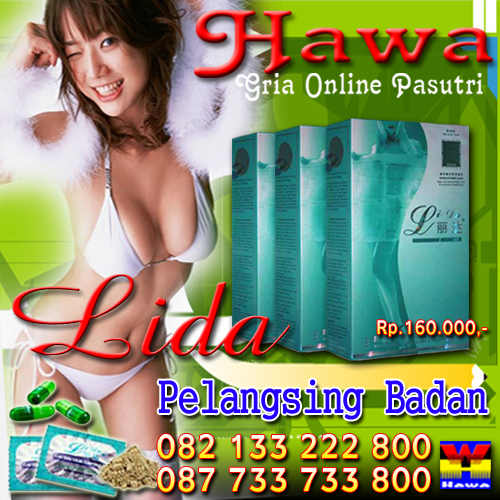 LIDA.jpg