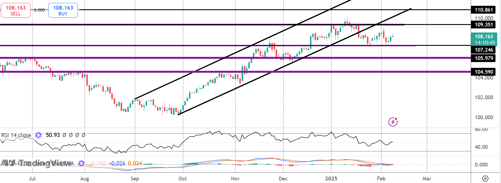 dxy10-(1).png