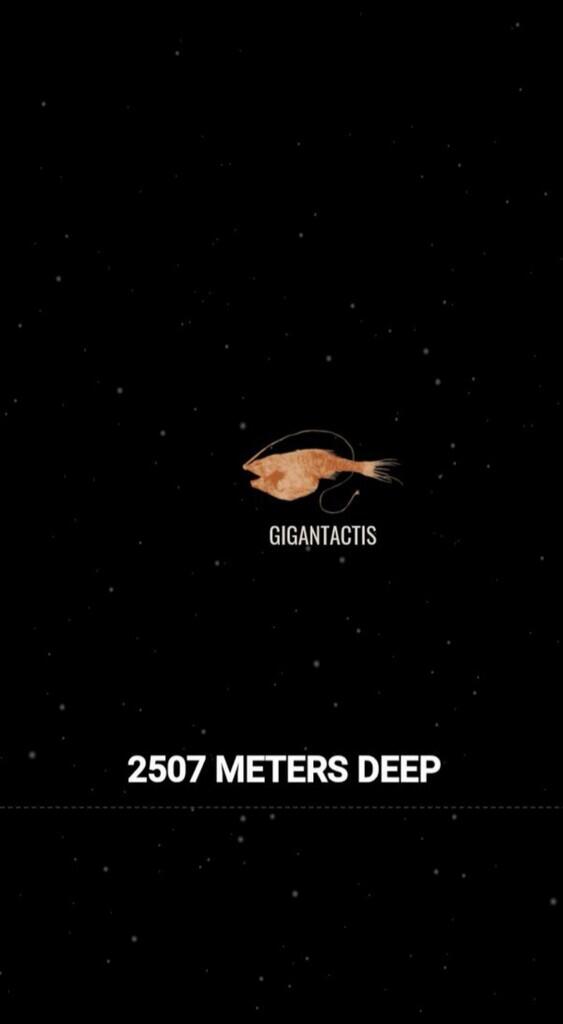 Ini Dia Ilustrasi Dalamnya Laut yg Begitu Menyeramkan [Warning : Sangat Dalam]