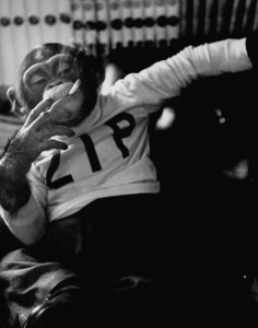 Smoking-Monkey1-236x300.jpg