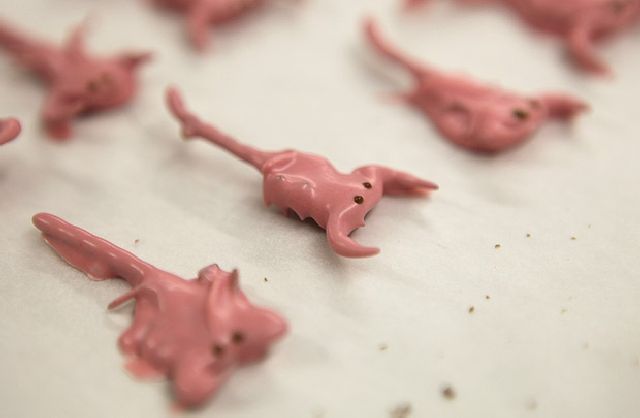 insect_candy_14.jpg