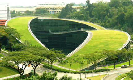 greenroof-01.gif