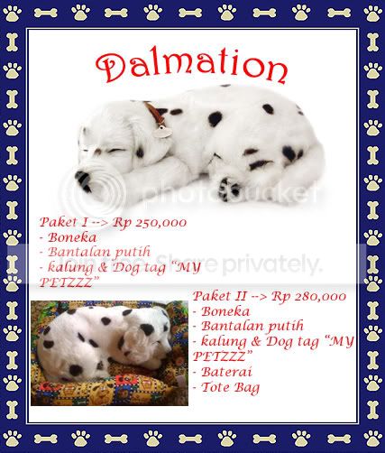 dalmationcopy.jpg