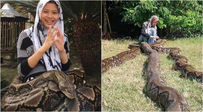 Gadis Ini Pelihara Ular Piton Hingga 6 Ekor, Waw Keren!