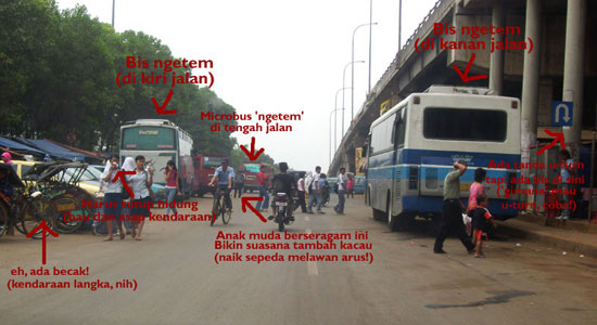 100_12141.jpg