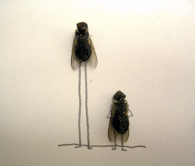 dead_flies_art_14.jpg