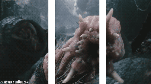 ZlLFW.gif
