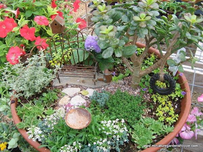 miniature-gardens-16.jpg