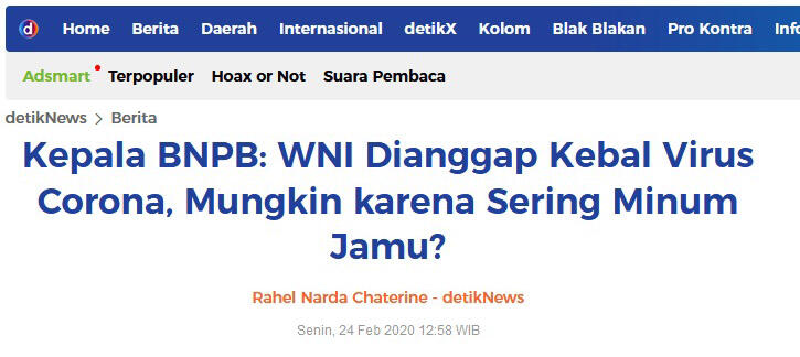 Pemerintah Indonesia dalam COVID-19