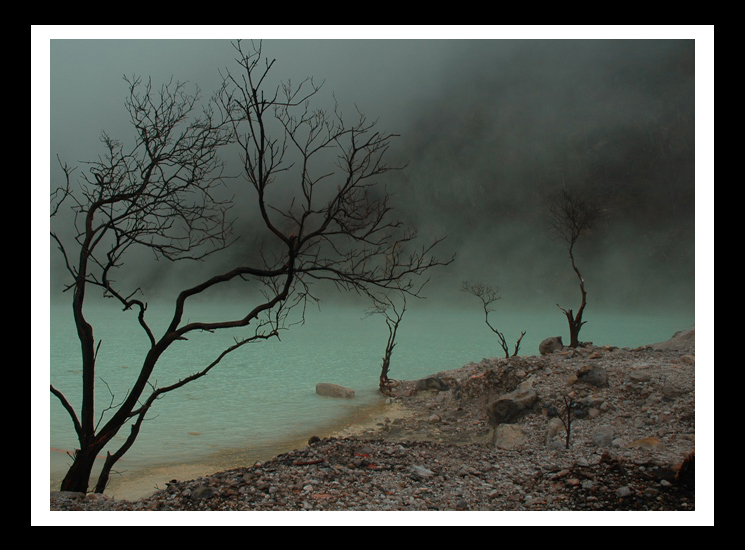 kawah-putih-ciwidey-copy.jpg