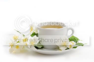 tph16-pic01.jpg