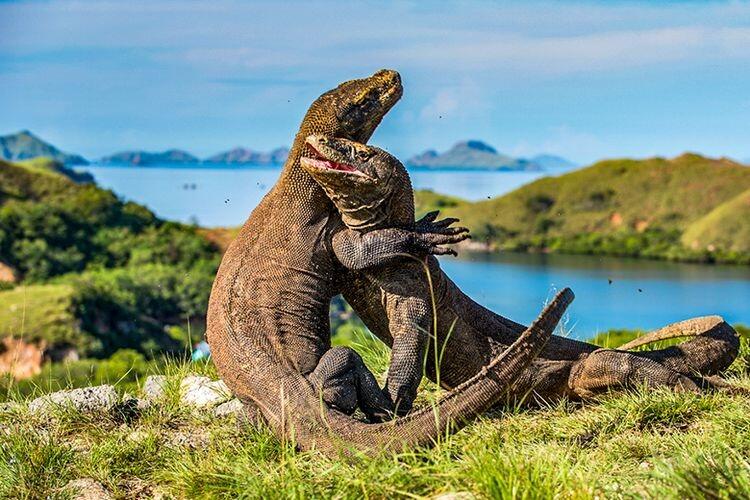 LIBURAN YANG TERTUNDA