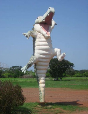 crocodiles_28.jpg