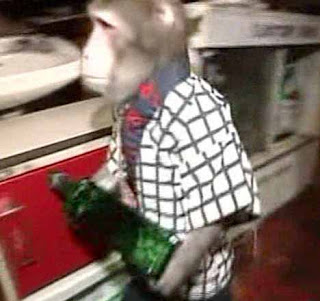 monkey_waiter_1.jpg