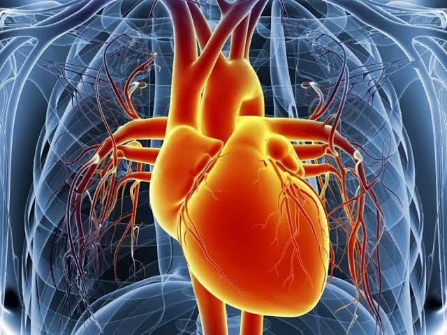 7 Harga Organ Tubuh Manusia Termahal 