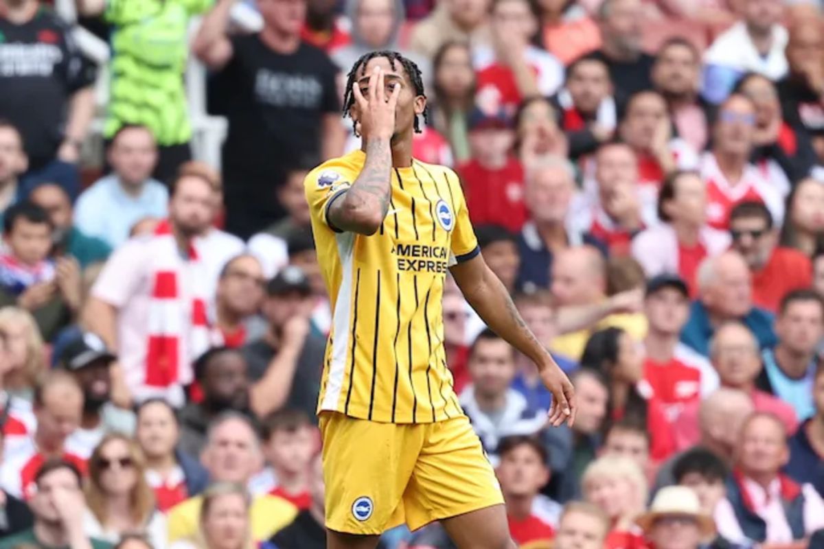 Chelsea resmi rampungkan transfer Joao Pedro dari Brighton