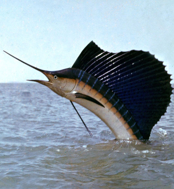 QuAYN.jpg