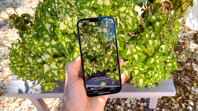 [REVIEW] iPhone 13 Pro Max, Terbaik Dalam Modelnya & FPS Bisa Disesuaikan