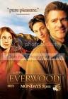 everwood.jpg