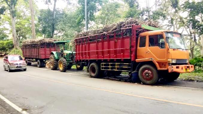 Cerita (Sedih) Dibalik Potekan Daun yg Dipasang Di Truk Mogok