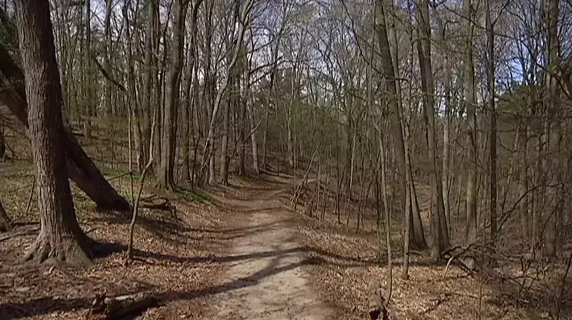 10052620_20240316020514.png