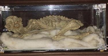kappa_mummy_1.jpg