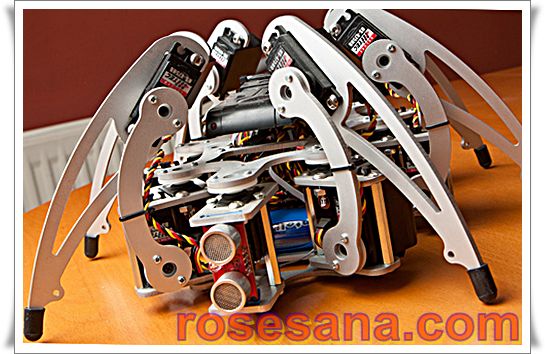 msrh01.jpg