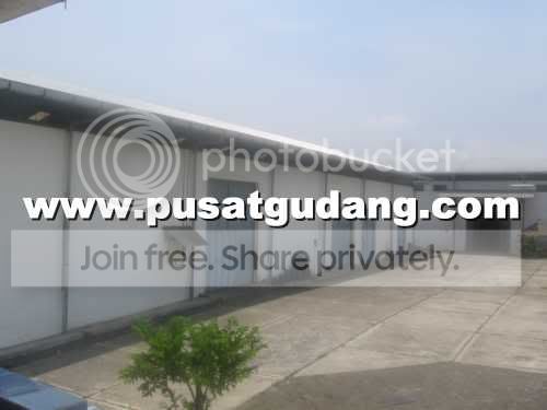 IMG_3239_a.jpg