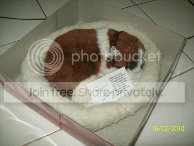 100_1778.jpg
