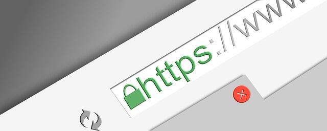 8 Rekomendasi Mesin Pencari Selain Google