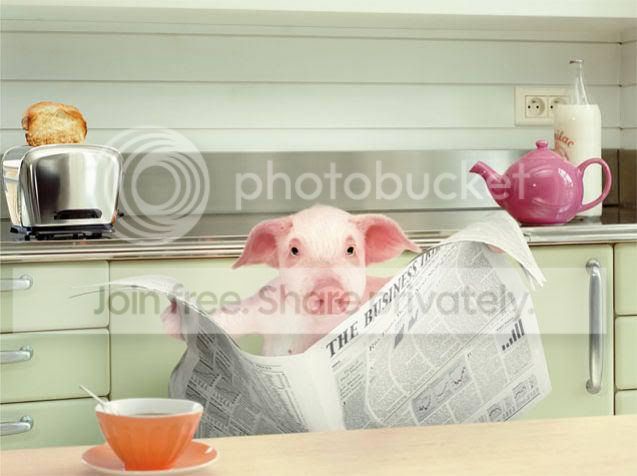 babi.jpg