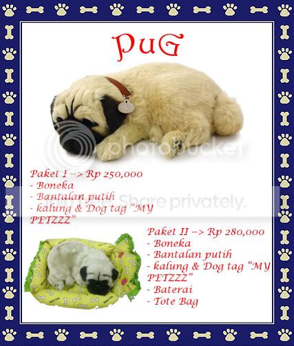 pugcopy.jpg