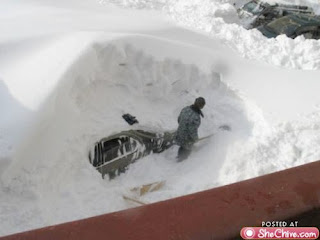 snowday-2.jpg