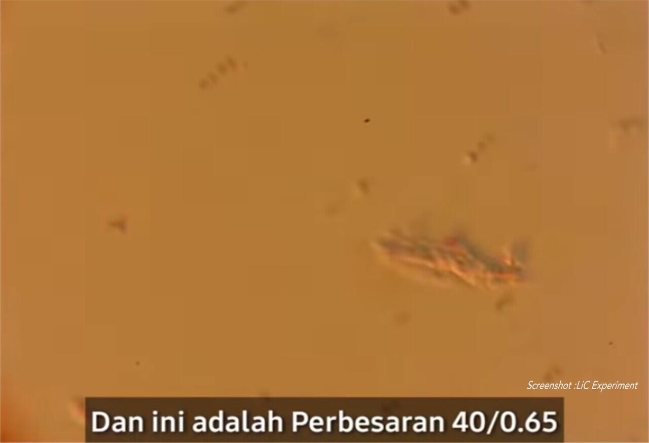 Ada Milyaran Kehidupan pada Selembar Uang Kertas